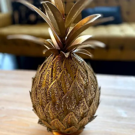酒店 戛纳克罗阿斯特别墅酒店 戛纳