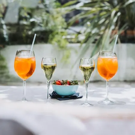 戛纳克罗阿斯特别墅酒店 戛纳